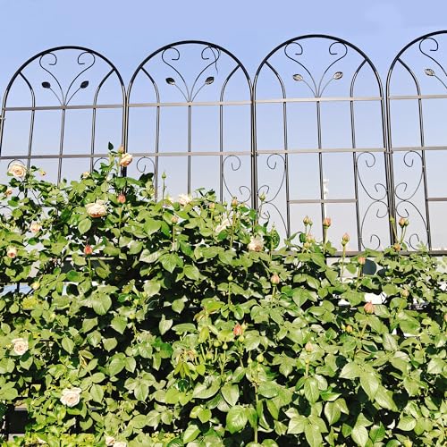 4 Pack Metal Garden Trellis for Climbing Plants
