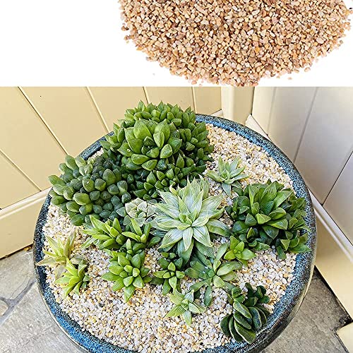 18lb Cactus Pea Gravel Rocks (18LB / Mixed Colorful)