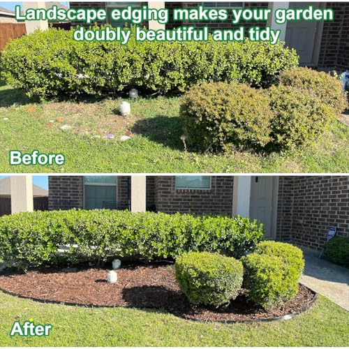 Garden Edging Borders 2IN x 98FT (Black / 2IN x 98 FT)