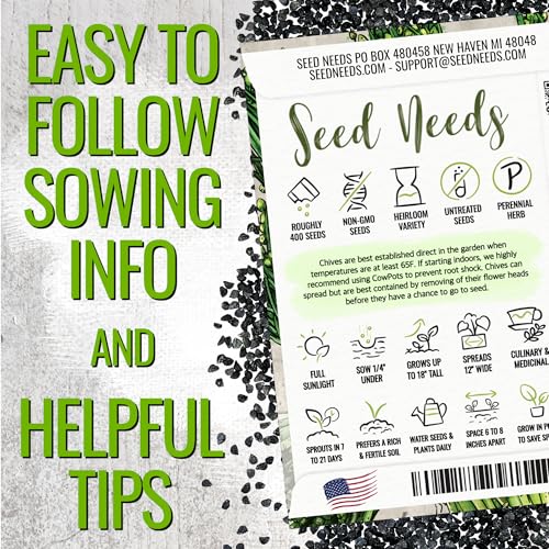Garlic Chives Seeds to Plant Heirloom Non (2 Packs)