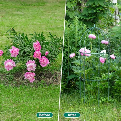 6 Pack Peony Cage (47.2"H x 17.7"W/6PC / Deep Green)