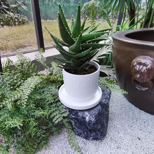 2 Pack Plant Water Catcher Tray (7in(2 Pack) / Frosted White)