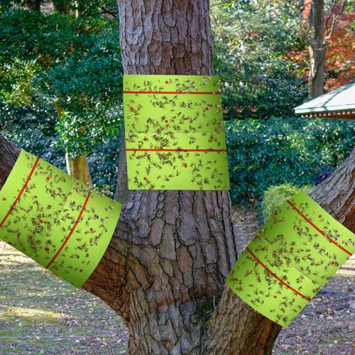 4 Rolls Spotted Lantern Fly Tree Tape Trap 30ft (Green)