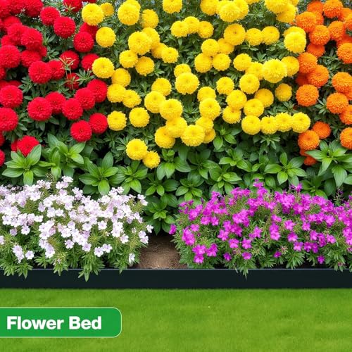 Garden Edging Border (black / 2 Inch x 200FT)