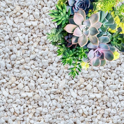 Perlite for Plants (96 Fl Oz)