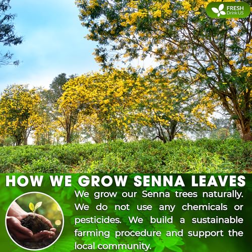 Premium 10oz Senna Leaves (10oz)