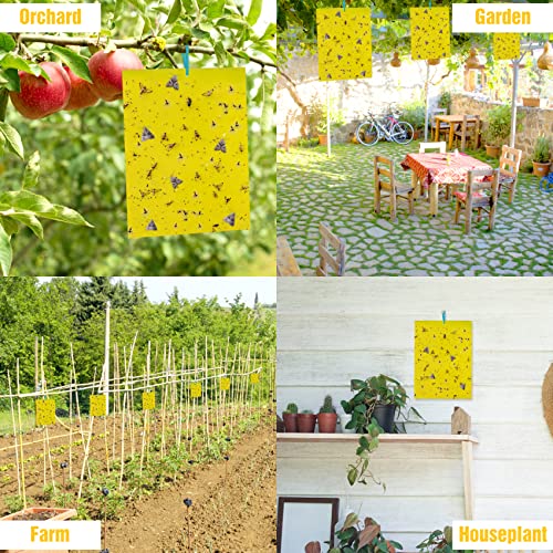 30 Pack Yellow Sticky Traps Fruit Fly Trap (30 Count)
