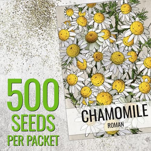 Herb Seeds to Plant Roman Chamomile (5 Packs)