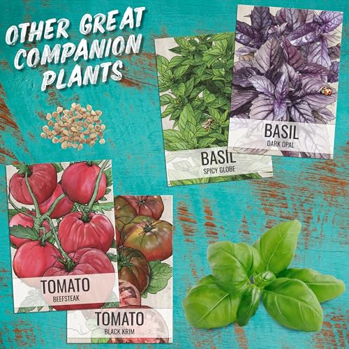 Watercress Seeds to Plant Heirloom Non (5 Packs)