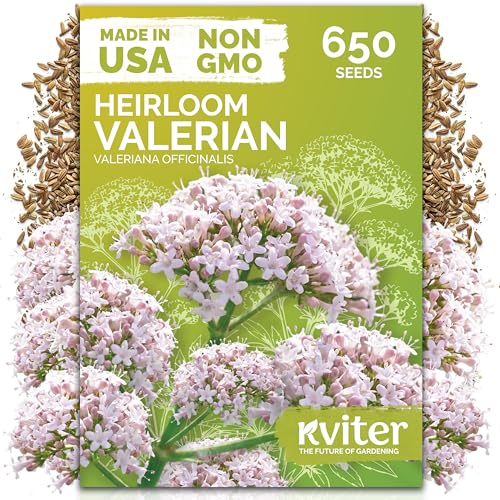 650 Valerian Heirloom Herb Seeds for Planting