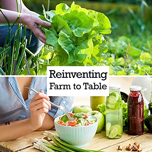 200+ Dwarf Siberian Kale Seeds for Planting