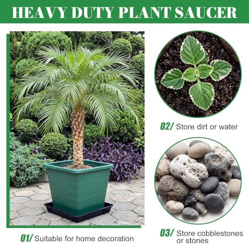 6 Pack Plastic Plant Saucer (Square / 12 Inch / Black)