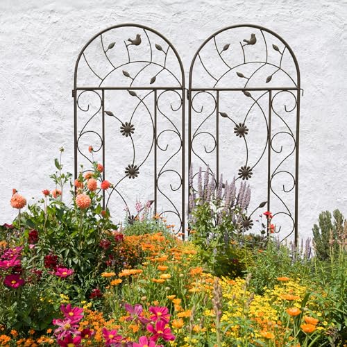 Garden Trellises (2 Count)