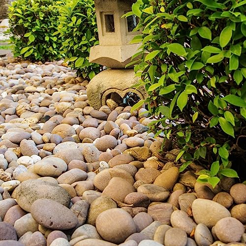 20lbs Natural River Rocks