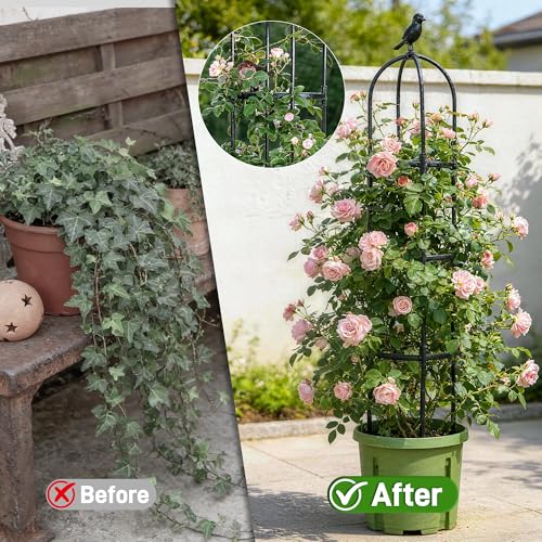 2 Pack Trellis for Climbing Planting Outdoor (BLACK / 2 PACK)