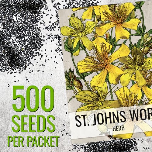 St. Johns Wort Seeds to Plant Heirloom Medicinal Herbs 5 Packs (5 Packs)