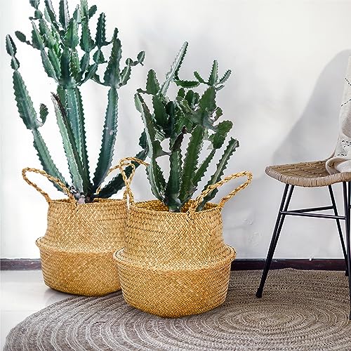 4 Pcs Woven Seagrass Baskets Belly Basket (4 Count)