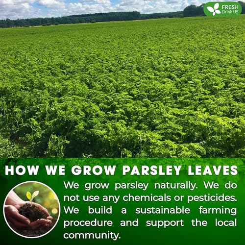 Premium 55 Parsley Leaf Tea Bags (55 Count)