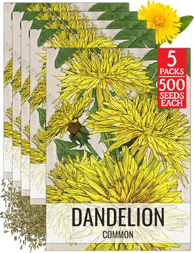 Herb Seeds to Plant Common Dandelion (5 Packs)