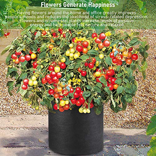 Taller Grow Bags (Black / 7 US Gallons 8 Pack)