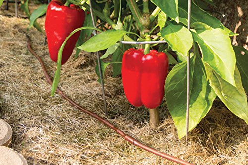 ET25 50S2 Drip Emitter Tubing (50 Foot)