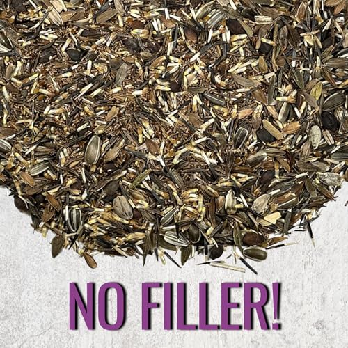 Garden Flower Seeds Large Blooms Mix 1 Ounce Heirloom Bulk Pack