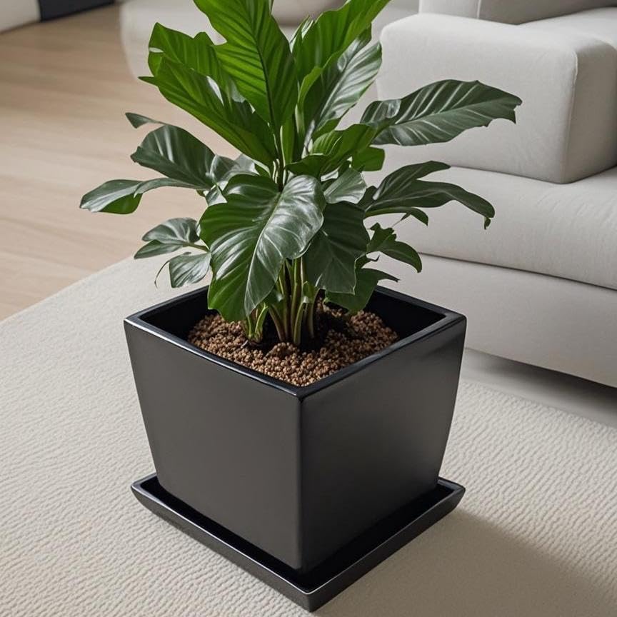 Square Ceramic Plant Saucer Tray 12 13 14 Inch Black