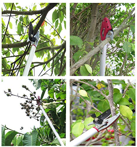 2FT Long Reach Pruner and Fruit Picker with Cut & Hold Feature