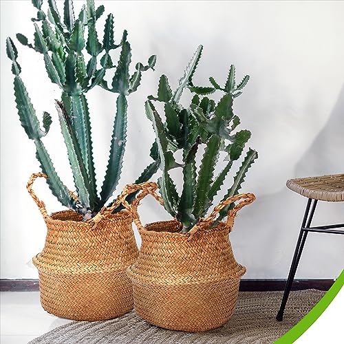 8 Pcs Woven Seagrass Baskets Belly Basket (S,8.7''Dx7.9''H)