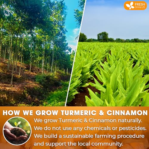 Premium Turmeric Cinnamon Tea (75 Tea Bags)