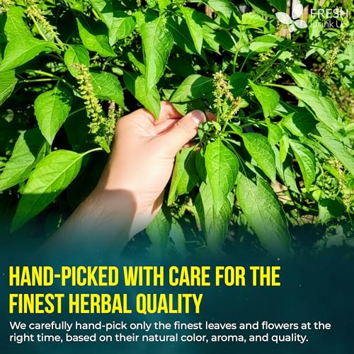 Tulsi Sleep Tea (135 Bags)