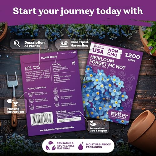 1200 Forget Me Not Heirloom Flower Seeds for Planting
