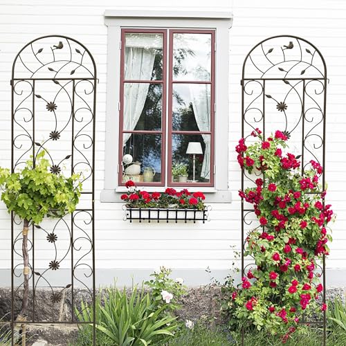 Garden Trellises (2 Count)