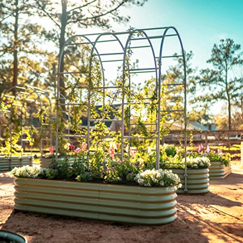 Modular Arched Trellis System 6.0' Long Trellis for 2.0' x 8.0'
