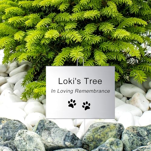 12 Pcs Large Plant Marker (12 Count)