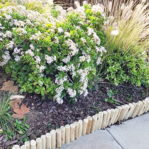 Natural Eucalyptus Wood Solid Log for Garden Edging Lawn Landscape Fence Borders 72 in L x 6 in H x 1.25 in D (3.15 Sq Ft)