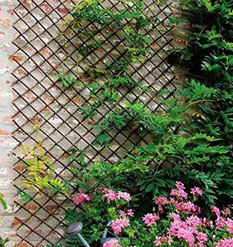Nature Willow Trellis Expandable Plant Support Plant Climbing Lattices Trellis Willow Expandable Trellis Fence for Climbing Plants Support 36x92 Inch