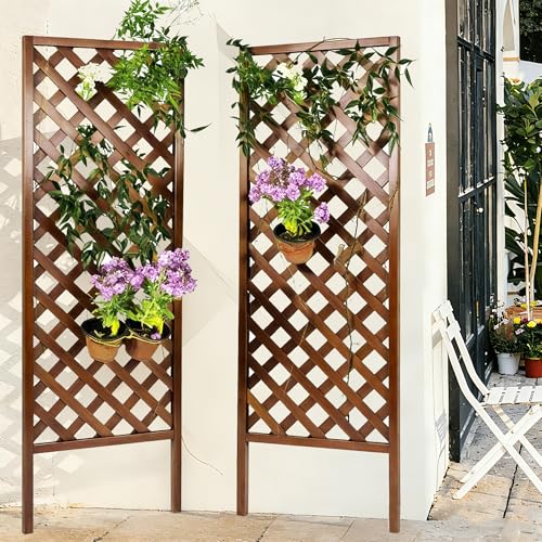 2 Pack Wood Garden Decor Trellis for Climbing Plants Outdoor (Dark Brown / H72 × W24 × D1.25 in)