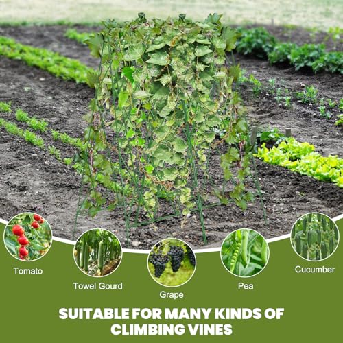 Cucumber Trellis 2 Pack (Grass Green / 39.4" H)