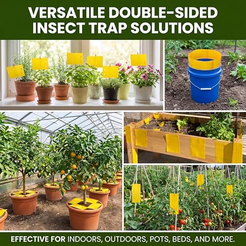 200 Pcs Yellow Sticky Traps for Gnats (2.7 x 3.9 Inch / Yellow)