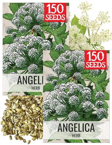 Herb Seeds to Plant Red Shiso (2 Packs)
