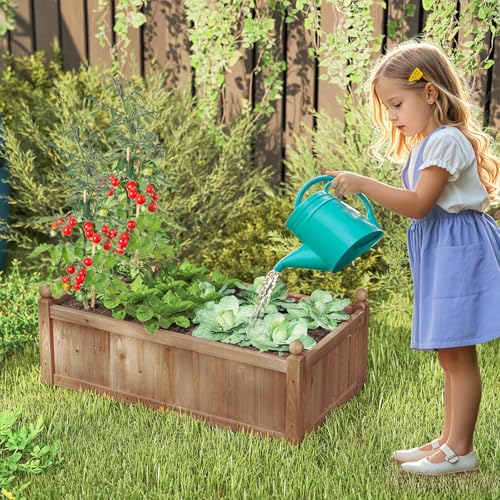 46” x 24” x 16” Wooden Raised Garden Bed