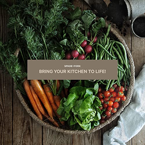 Organic Indoor Vegetable Garden Starter Kit (Vegetable Garden Kit)
