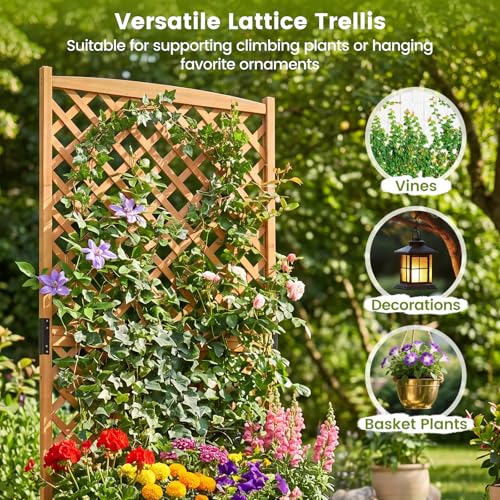 71" Raised Garden Bed with Trellis & Garden Box (2 Count)