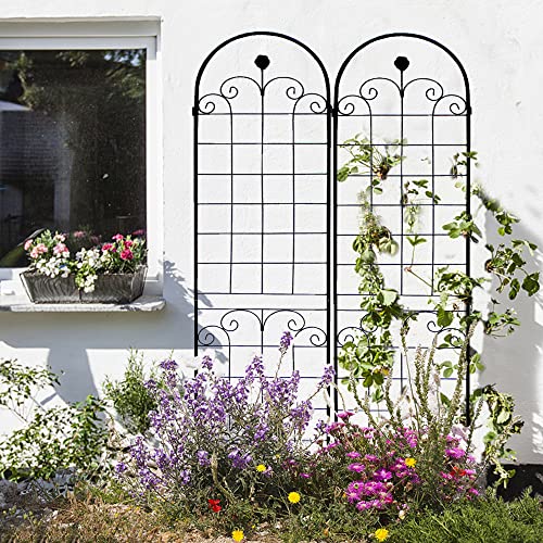 4 Pack Metal Garden Trellis for Climbing Plants (Black C-86.7"H)