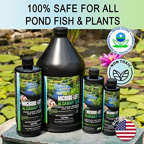 ALGA2.5 Algaway 5.4 Algae Control Treatment for Ponds and Water Gardens (320 Fl Oz)