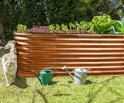 Galvanized Raised Garden Beds Outdoor (Dark Wood / 6×2×2 ft)