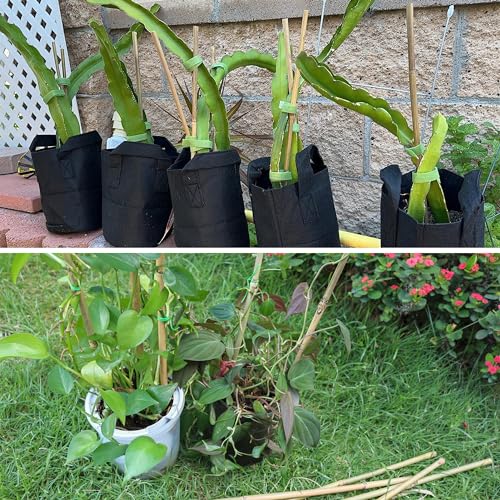30Pcs 7ft Bamboo Plant Stakes for Indoor Outdoor Plants (7 FT 30PCS)