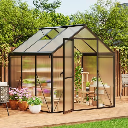 6x6 FT Greenhouse for Outdoors (Black / 6x6 FT)