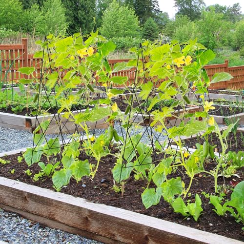 Cucumber Trellis 2 Pack (Black / 39.4" H)